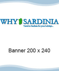 Banner 200 X 240